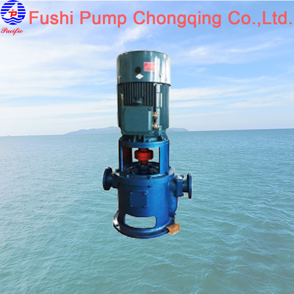 CLZ Marine Vertical Fire Pump.jpg